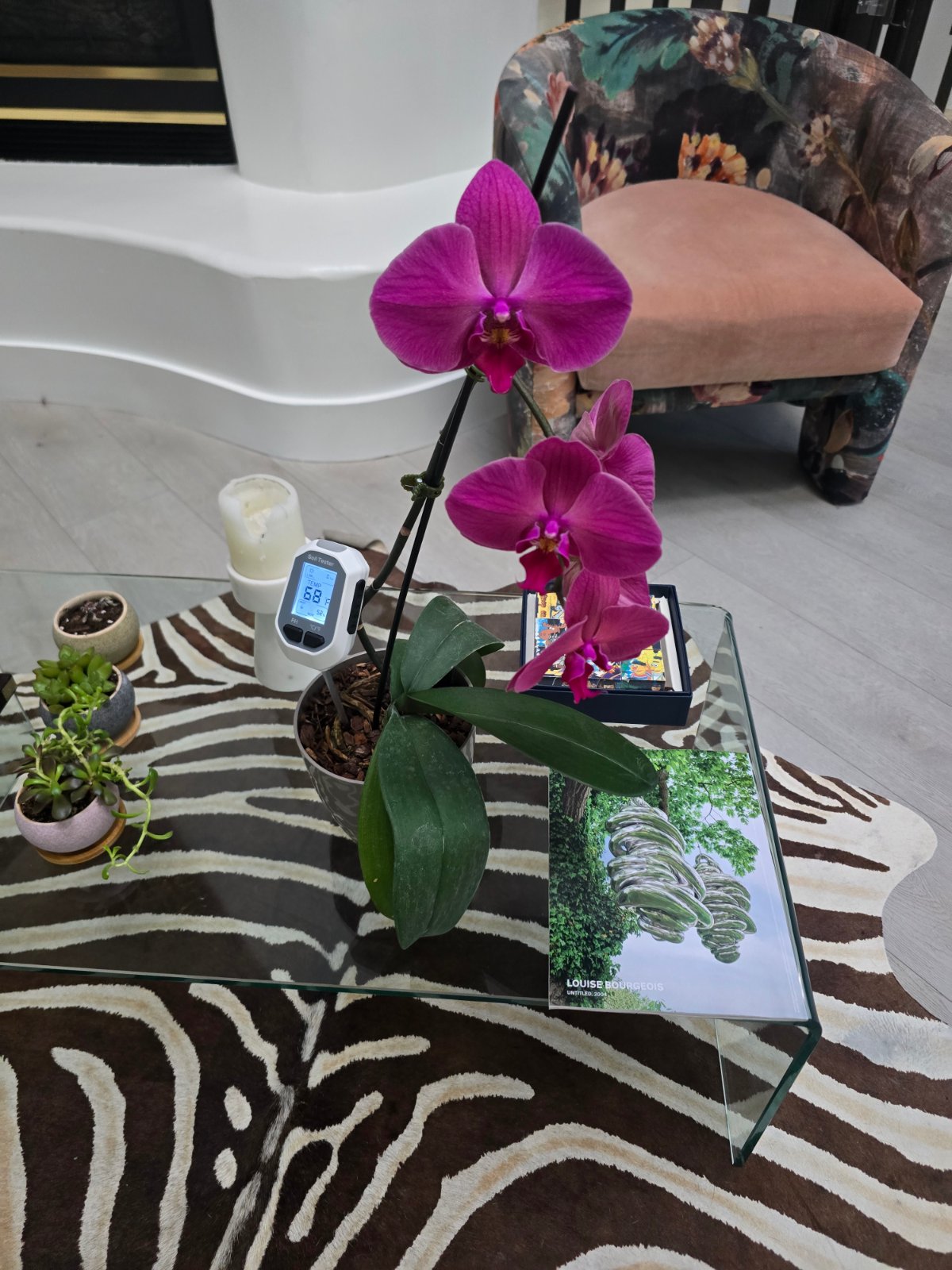 Do Moisture Meters Work in Chunky Aroid Mix?