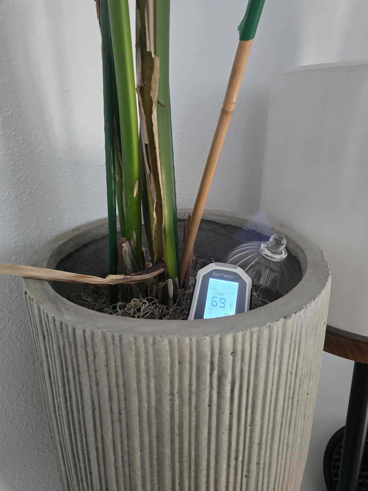 Why Does My Moisture Meter Always Read Wet?