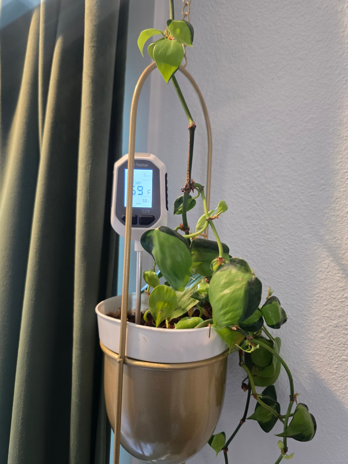 Moisture Meter vs Finger Test: Why They Never Agree