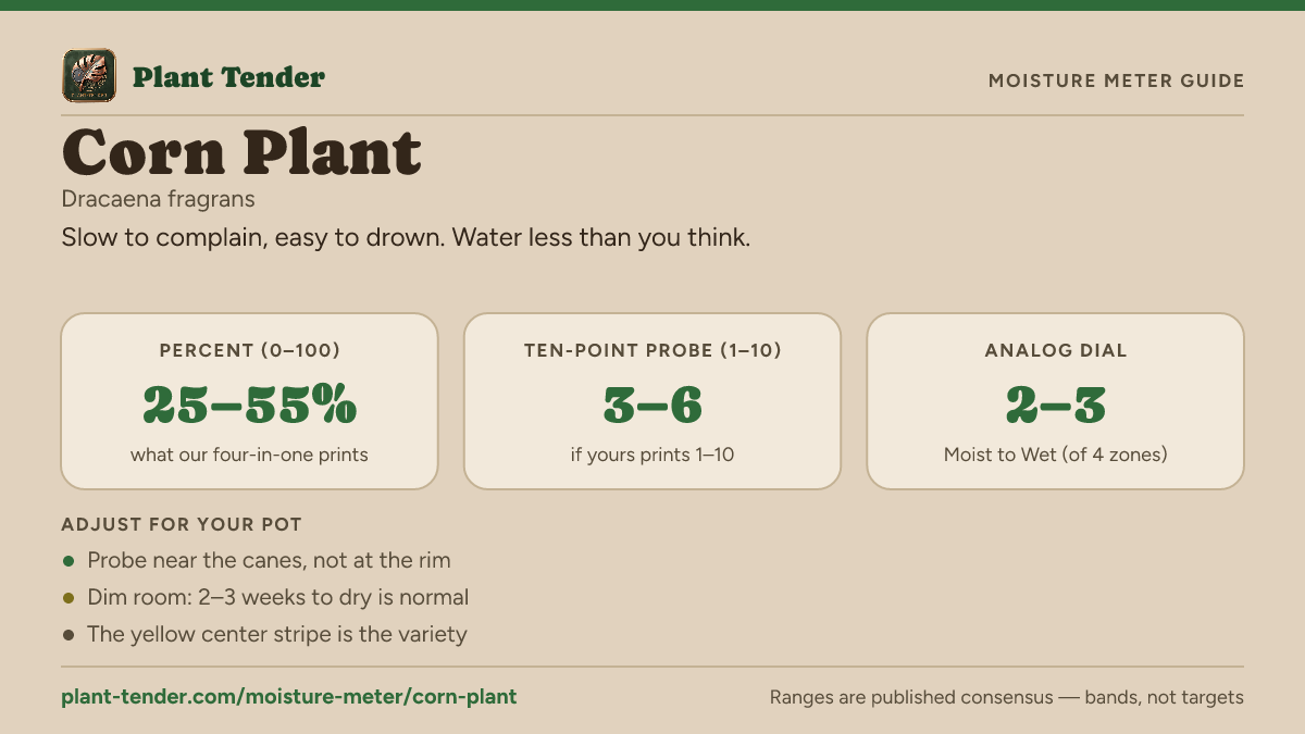 Moisture meter guide for corn plant: target range on the 1–10 probe, the analog dial and percent, plus soil-mix adjustments
