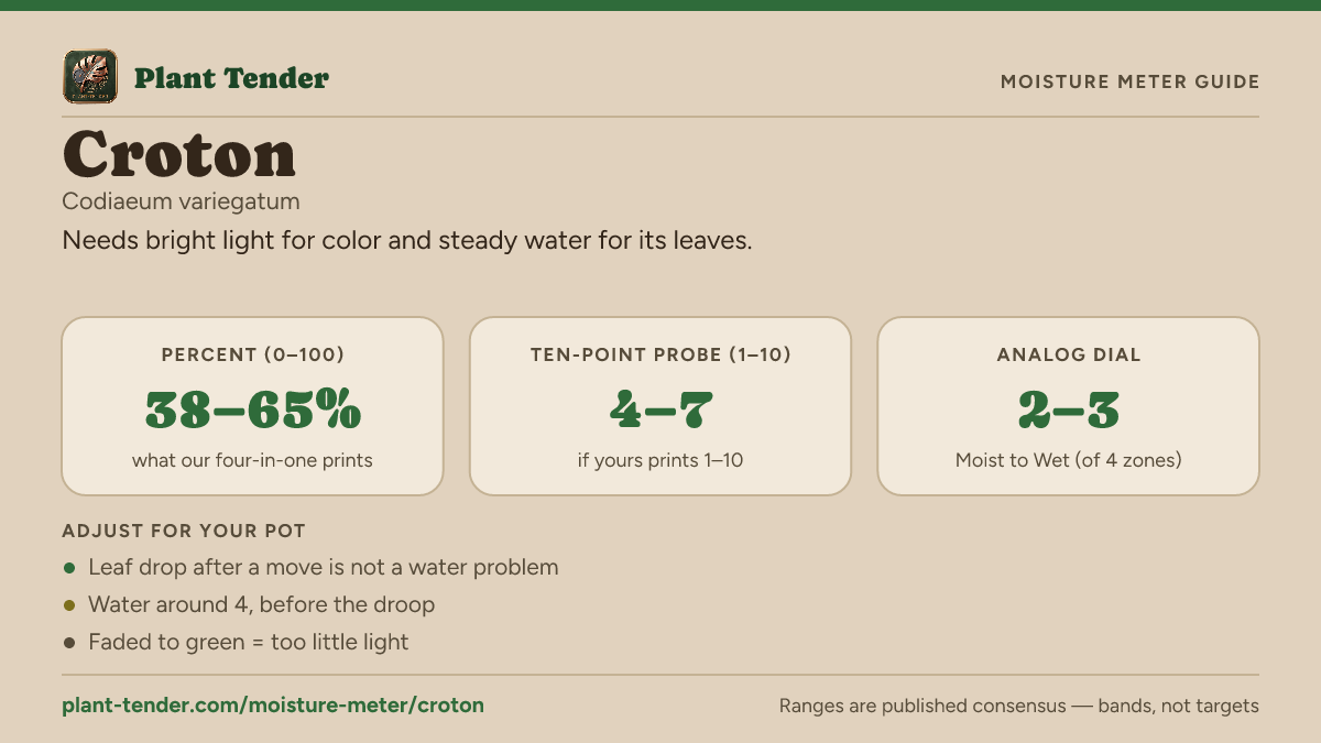 Moisture meter guide for croton: target range on the 1–10 probe, the analog dial and percent, plus soil-mix adjustments