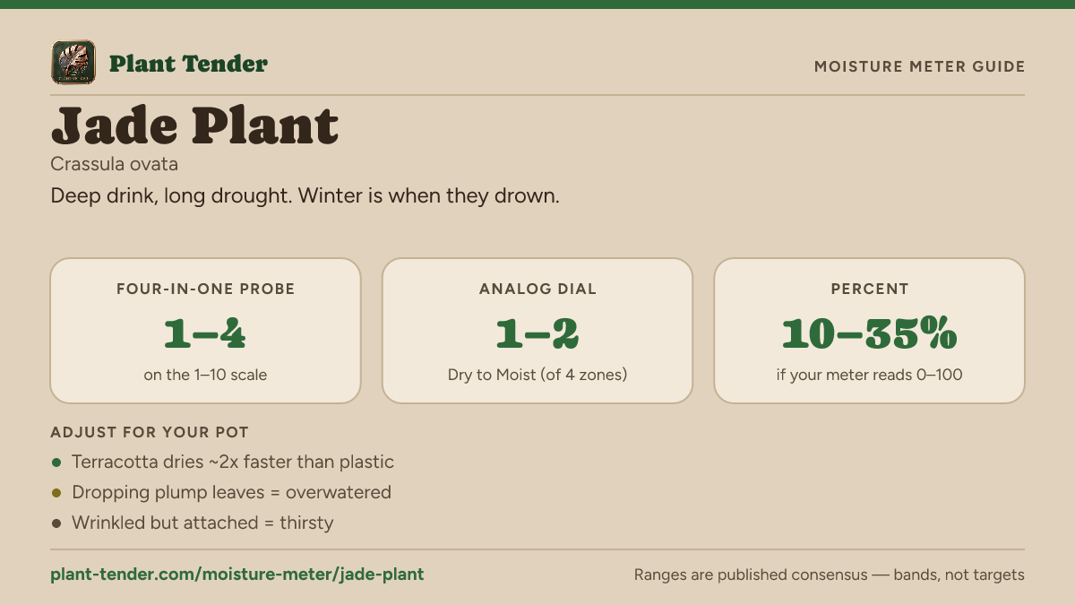 Moisture meter guide for jade plant: target range on the 1–10 probe, the analog dial and percent, plus soil-mix adjustments