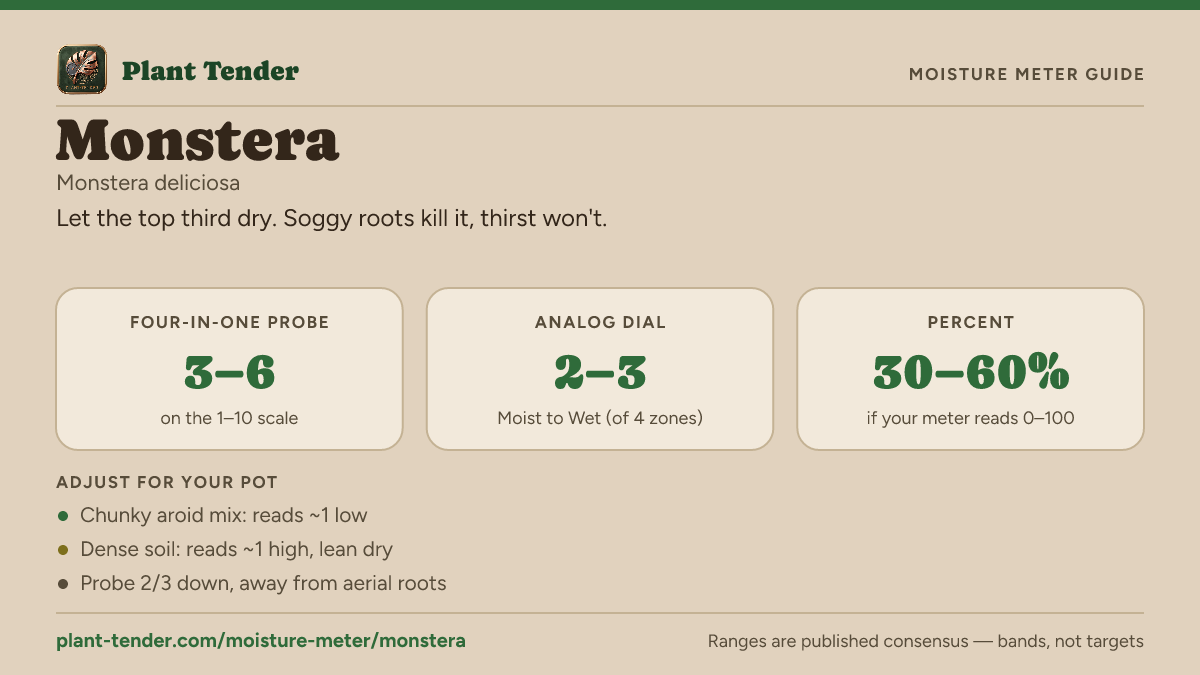 Moisture meter guide for monstera: target range on the 1–10 probe, the analog dial and percent, plus soil-mix adjustments