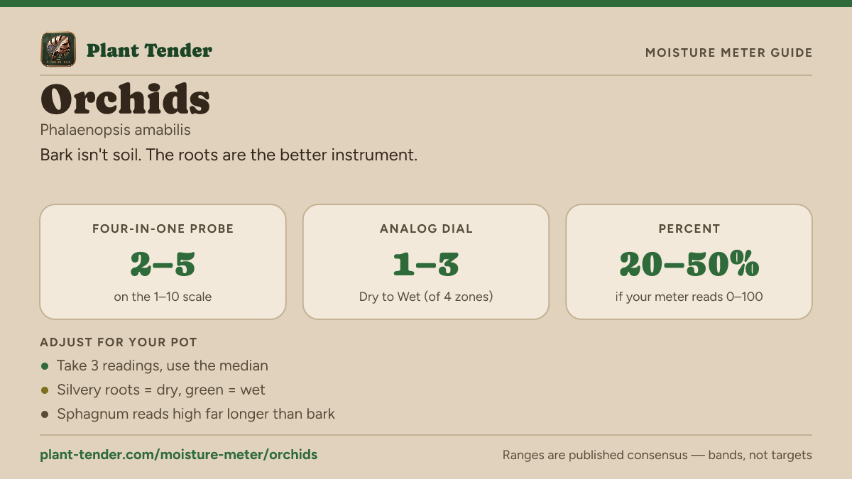 Moisture meter guide for orchids: target range on the 1–10 probe, the analog dial and percent, plus soil-mix adjustments