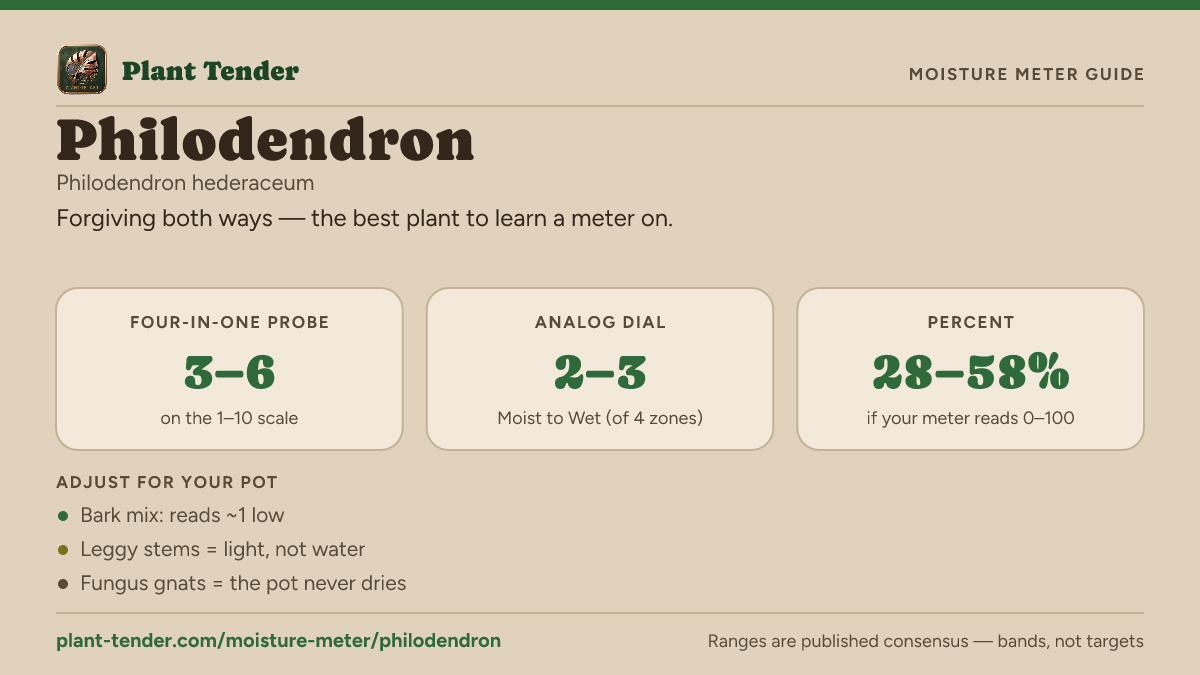 Moisture meter guide for philodendron: target range on the 1–10 probe, the analog dial and percent, plus soil-mix adjustments