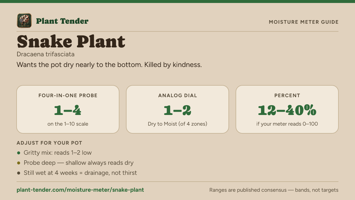 Moisture meter guide for snake plant: target range on the 1–10 probe, the analog dial and percent, plus soil-mix adjustments