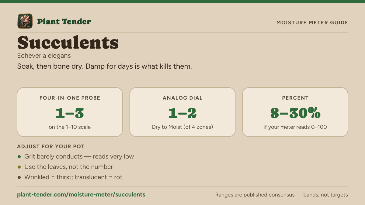Moisture meter guide for succulents: target range on the 1–10 probe, the analog dial and percent, plus soil-mix adjustments