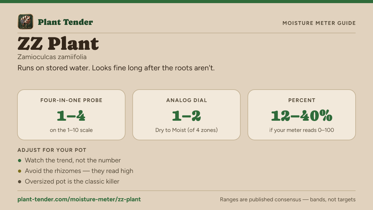 Moisture meter guide for ZZ plant: target range on the 1–10 probe, the analog dial and percent, plus soil-mix adjustments